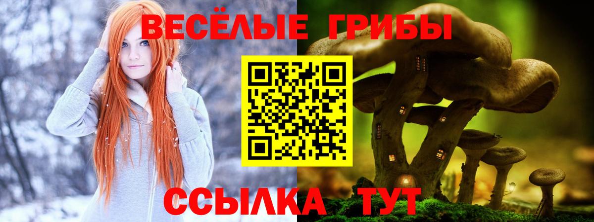 Галлюциногенные грибы Cubensis Пыть-Ях