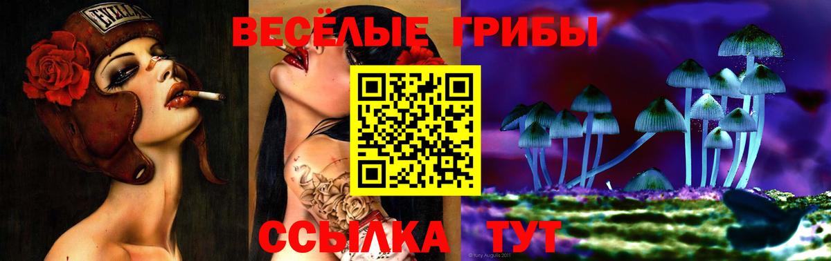 Псилоцибиновые грибы Cubensis  Галлюциногенные грибы MAGIC MUSHROOMS  Пыть-Ях  Вход с VPN 